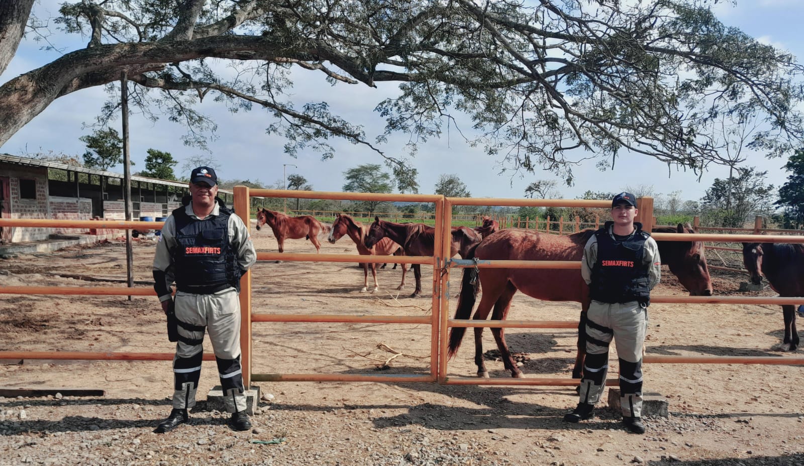 Vigilancia perimetral en hacienda con corral de caballos
